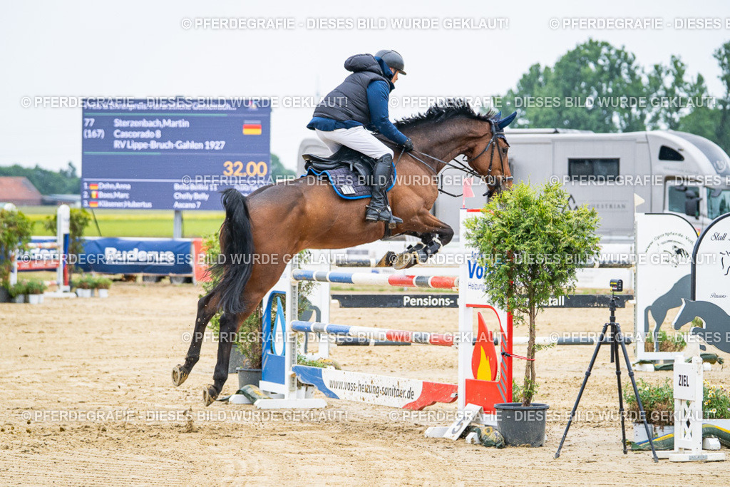 DSC09092 | Pferdegrafie