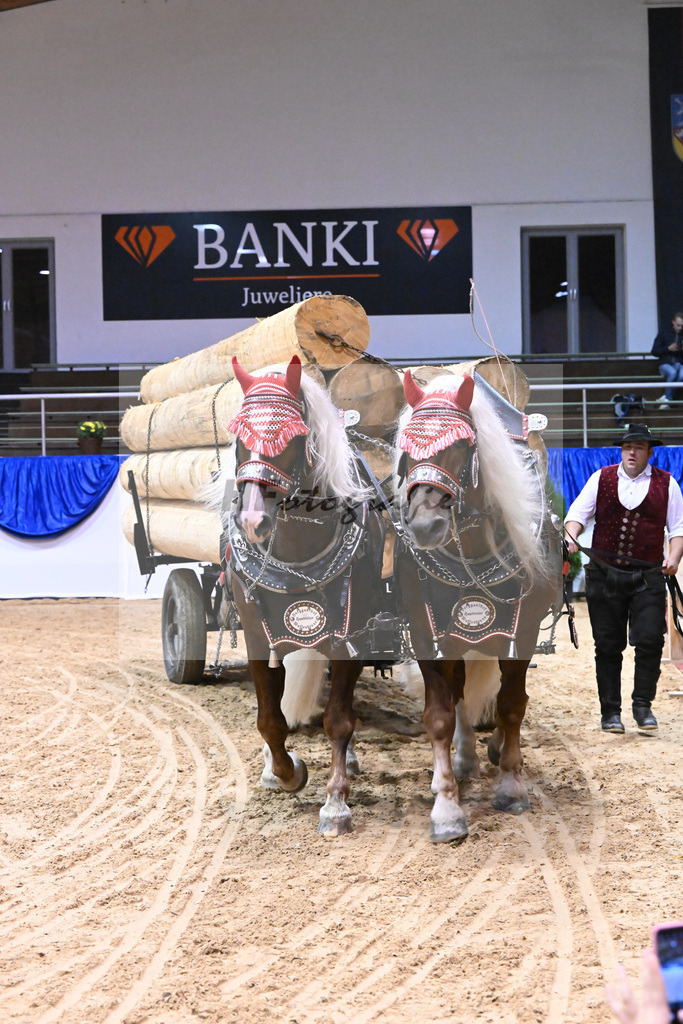 Schauprogramm_54222882 | hf-fotografie - Realisiert mit Pictrs.com