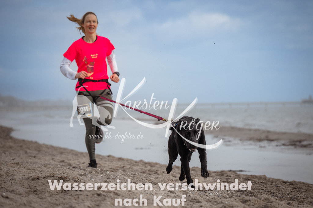 1217_ZZ96045 | kk-dogfotos