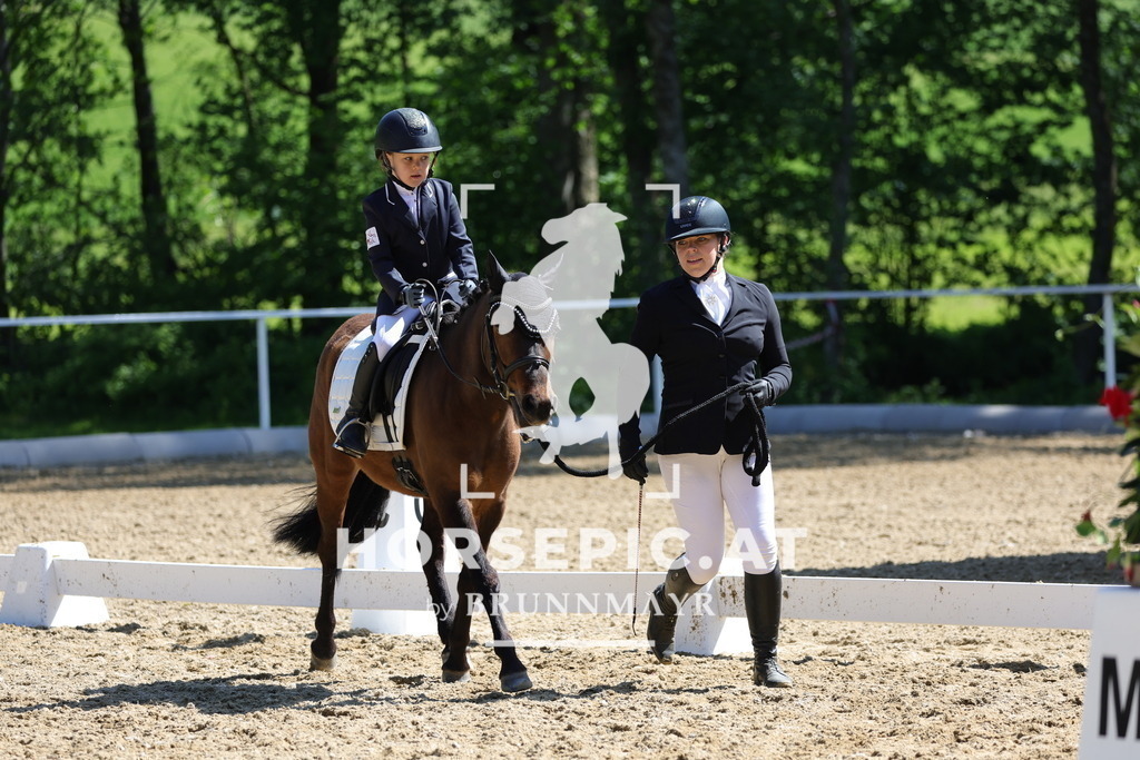 0P6A0140 | Willkommen bei Brunnmayr - Design & Fotografie – Ihrem Spezialisten für Reitturniere und Pferdeveranstaltungen in Oberösterreich, Salzburg und Bayern! Seit über 17 Jahren sind wir leidenschaftlich dabei.