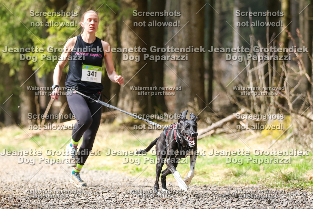 Dog Paparazzi - VCC26-508 | Dog Paparazzi Jeanette Grottendiek Fotografie & Videografie - Realisiert mit Pictrs.com
