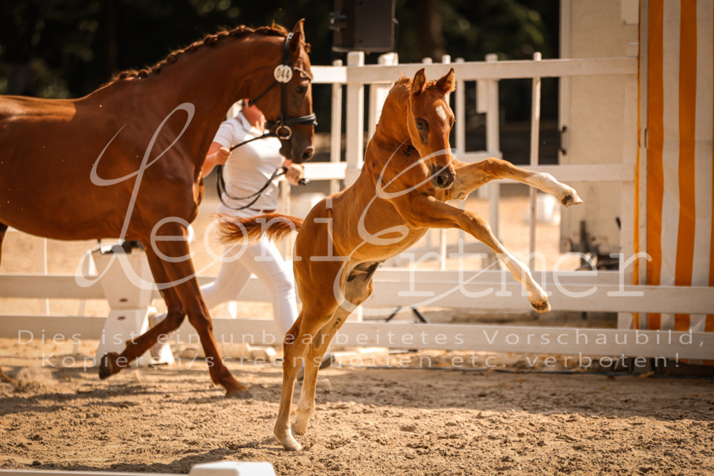 09.DoWBD00090 | Leoni Ertmer Photography - Realisiert mit Pictrs.com