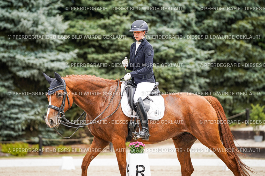 DSC04818 | Pferdegrafie