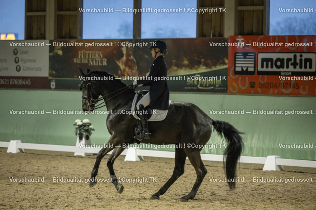 _D5A7414 | Emotionale Pferde- & People-Fotografie rund um Heidelberg, Leimen & Umgebung. Natürliche Fotos von Pferd, Mensch & Familie. Jetzt Termin sichern!