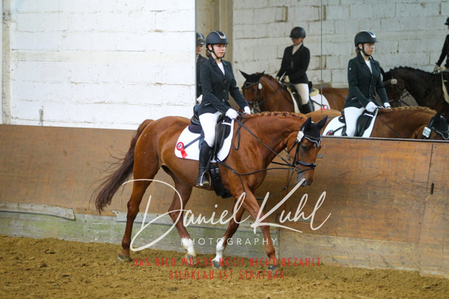 DKP43770 | Turniersportfotografie; Pferdefotografie; Dressurfotografie