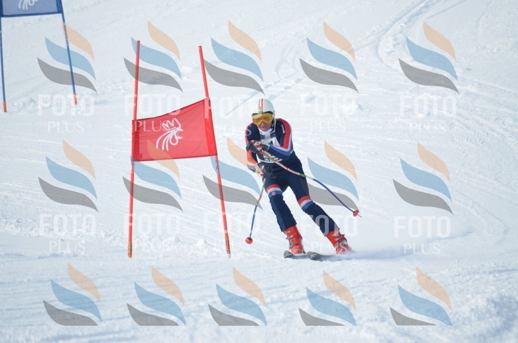 D8848 | holidayphoto