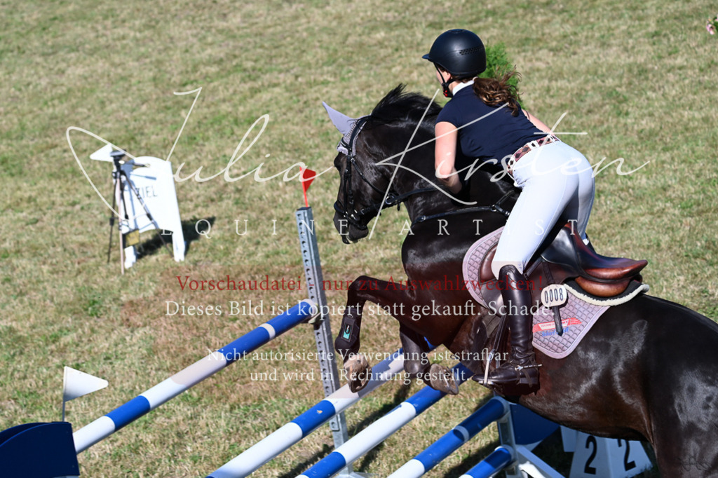 DSC_2468 | Pferde- und Turnierfotografie in Westsachsen. Pferdeportraits, Auftragszeichnungen und intuitive Kunst.