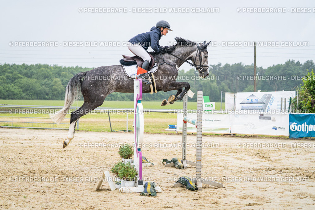 DSC01601 | Pferdegrafie