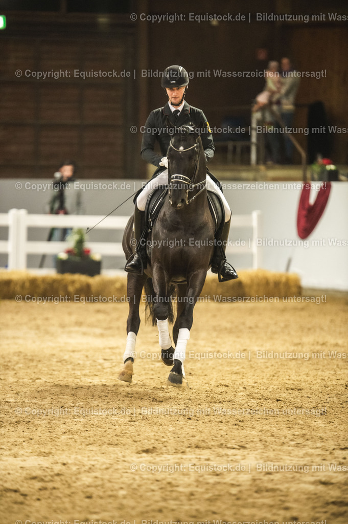 20240302_Hengstvorstellung_Marbach_TOMsPiC_1524 | equistock