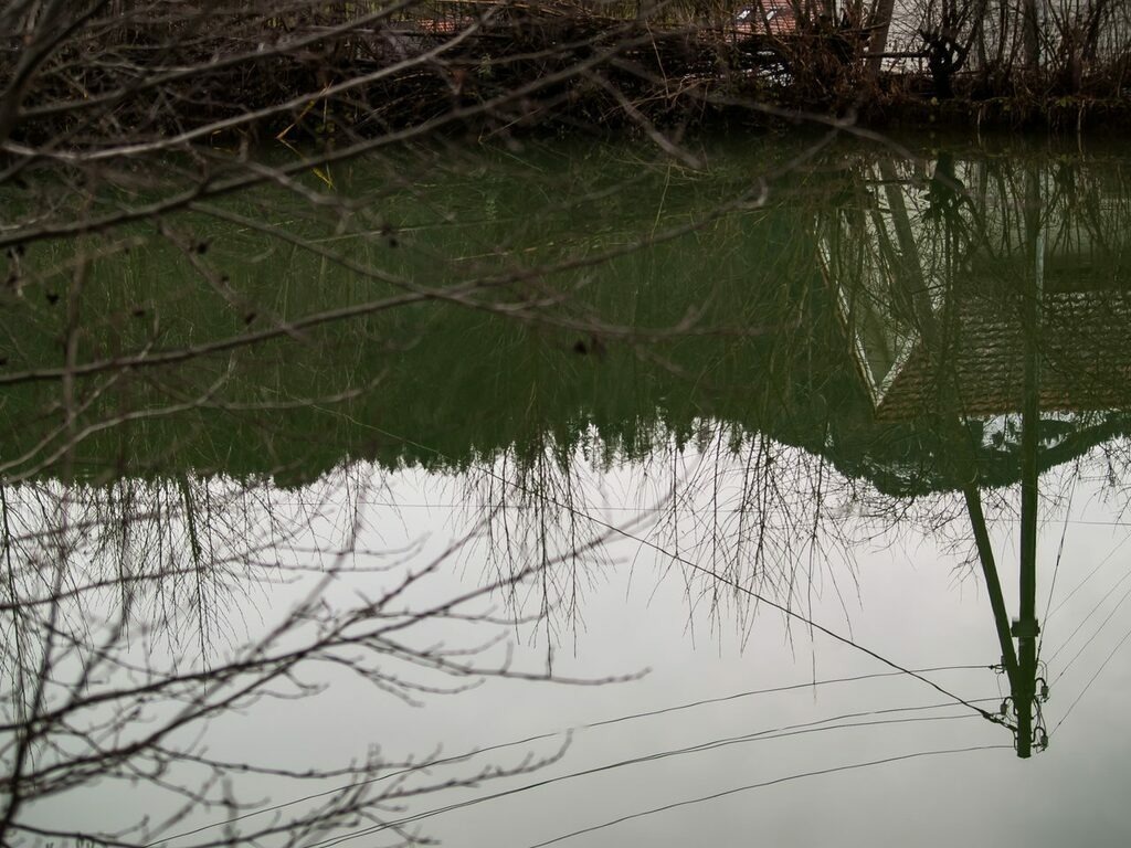 PSX_20221231_001851 | mtkfoto_ - Realisiert mit Pictrs.com