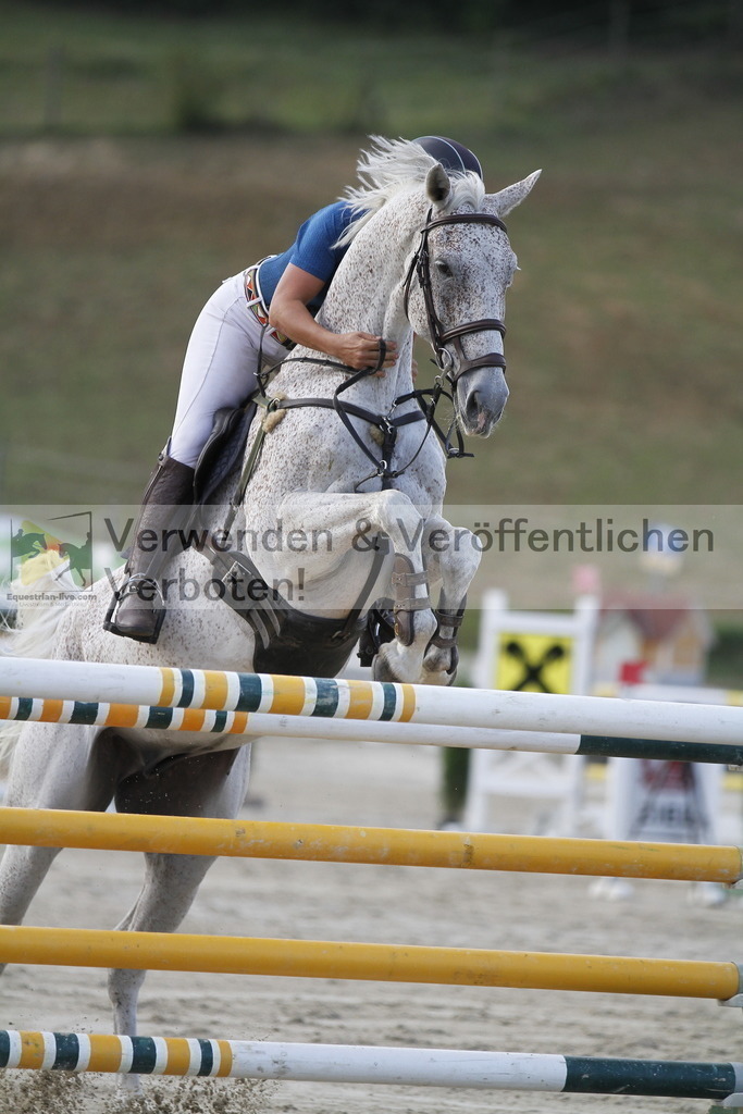 _MG_6595 | equestrian-live-com