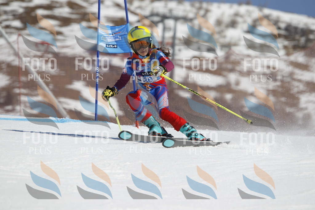 _U3G9186 | holidayphoto