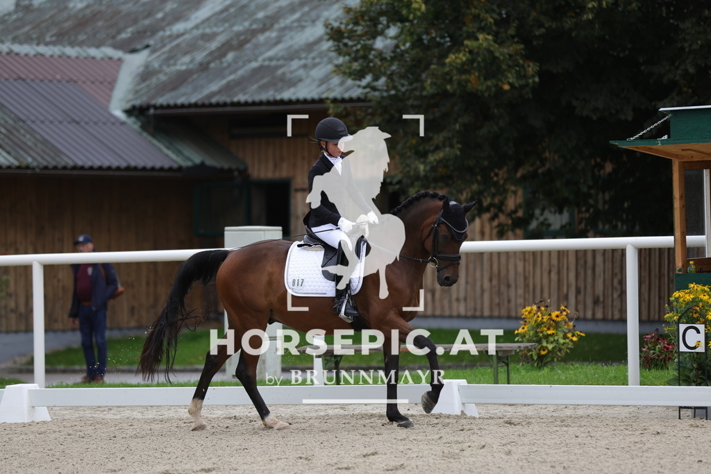 0P6A7979 | Willkommen bei Brunnmayr - Design & Fotografie – Ihrem Spezialisten für Reitturniere und Pferdeveranstaltungen in Oberösterreich, Salzburg und Bayern! Seit über 17 Jahren sind wir leidenschaftlich dabei.