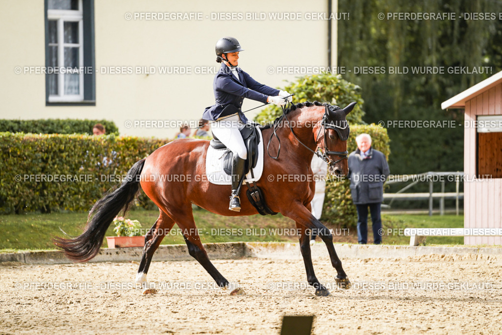 DSC09442 | Pferdegrafie