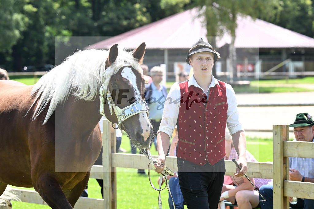Kat-Nr. 65 Selin v. Schoenblick_Aschenbrenner_22241133 | hf-fotografie - Realizzato con Pictrs.com