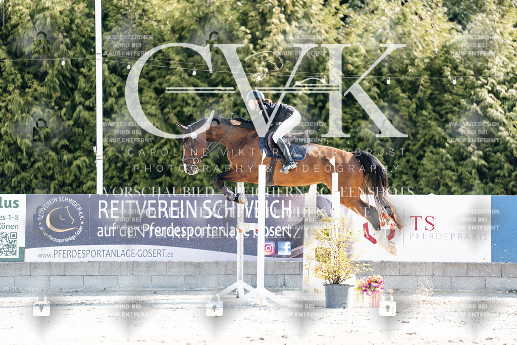 CK901930 | Turnierfotografie Pferdefotografie Trier Rheinland-Pfalz Pferdesport Reitsport Tierfotografie Sportfotografie Pferdevideo Pferdevideografie Equestrianvideography equestrianphotography  - Realisiert mit Pictrs.com