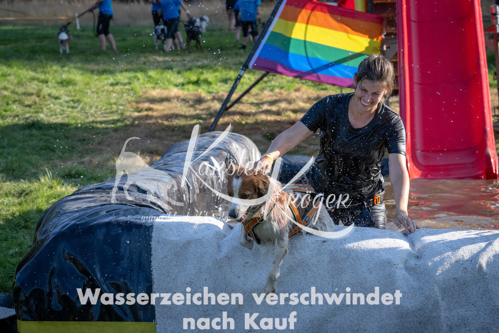 1729_ZZ90606 | kk-dogfotos