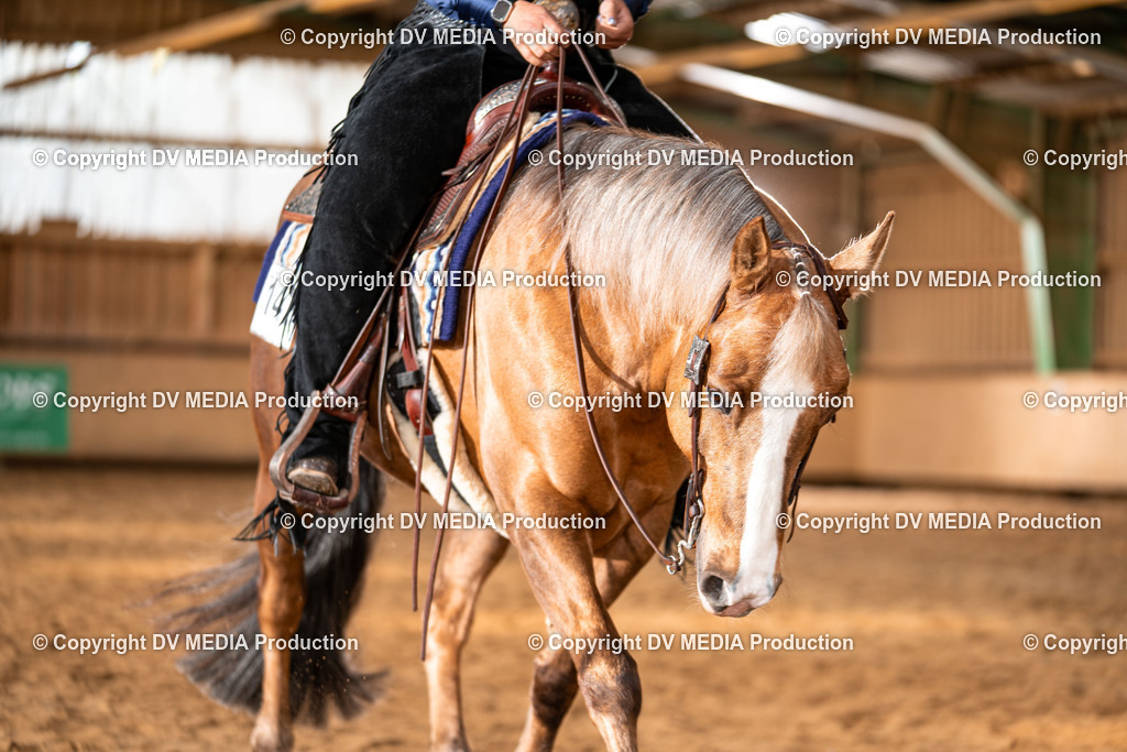 Balingen Tag 3-581 | dv-media-shop - Realisiert mit Pictrs.com