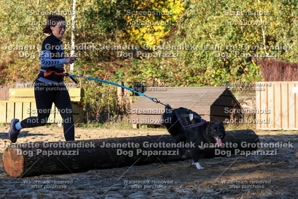 Dog Paparazzi - Strongdog 10-25-1041 | Dog Paparazzi Jeanette Grottendiek Fotografie & Videografie - Realisiert mit Pictrs.com