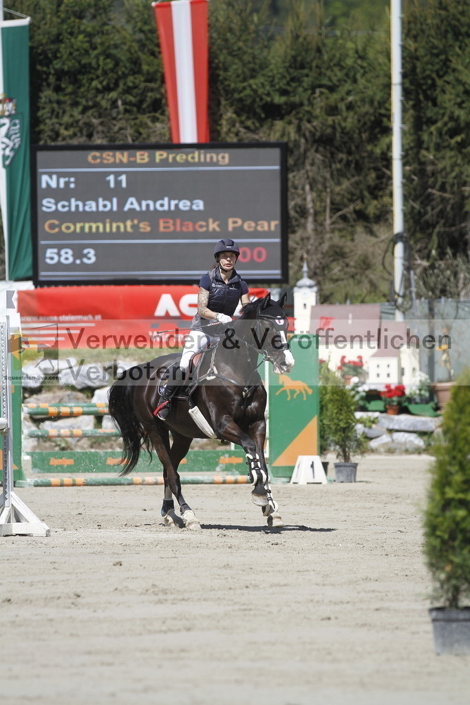 _MG_6623 | equestrian-live-com