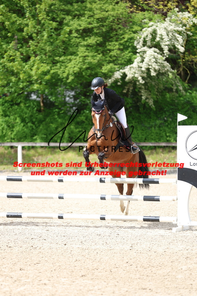 A40A1571 | lmwpictures - Realisiert mit Pictrs.com