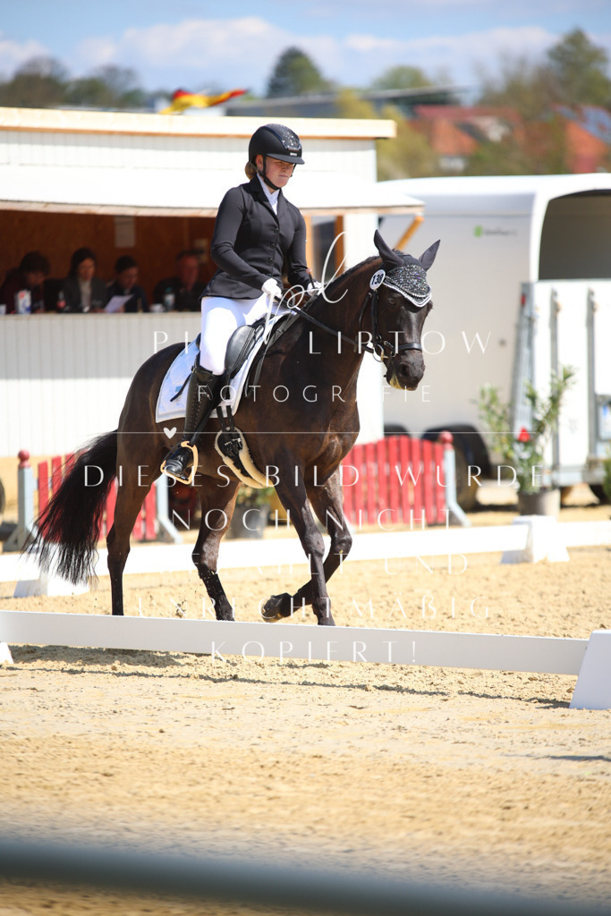 IMGT7269 | pl-fotografie