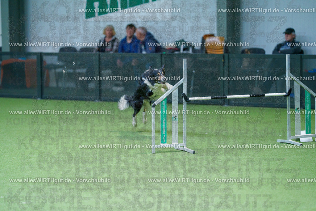 @allesWIRTHgut_Tierfotografie - www.allesWIRTHgut.de - 2604251042-7R509900 | Professionelle Tierfotografie in Mönchengladbach von Daniel Wirth (allesWIRTHgut). Liebevolle & natürliche Bilder von Hunden & Katzen für unvergessliche Erinnerungen.