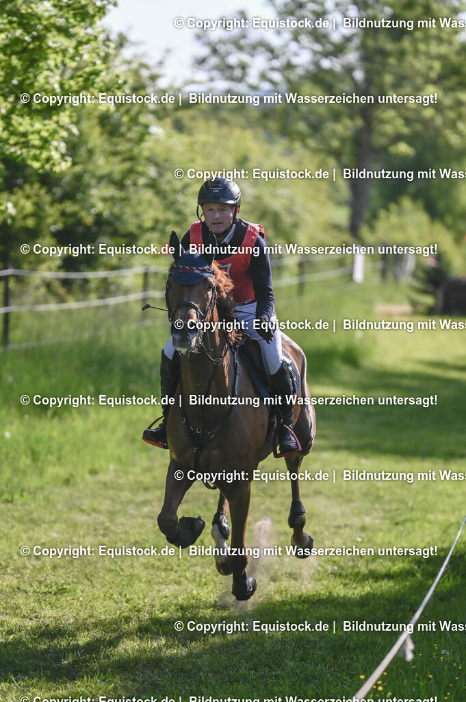 20250517_CCI2_Gelände_0351 | Foto: Thomas Hartig