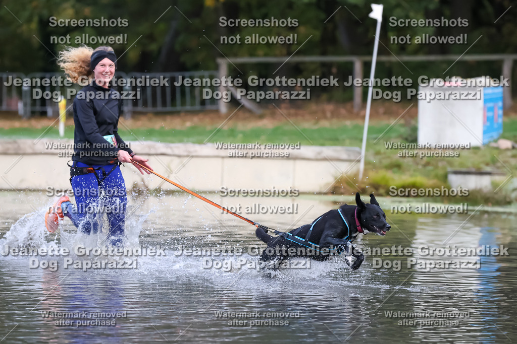 Dog Paparazzi - Strongdog 10-25-6302 | Dog Paparazzi Jeanette Grottendiek Fotografie & Videografie - Realisiert mit Pictrs.com