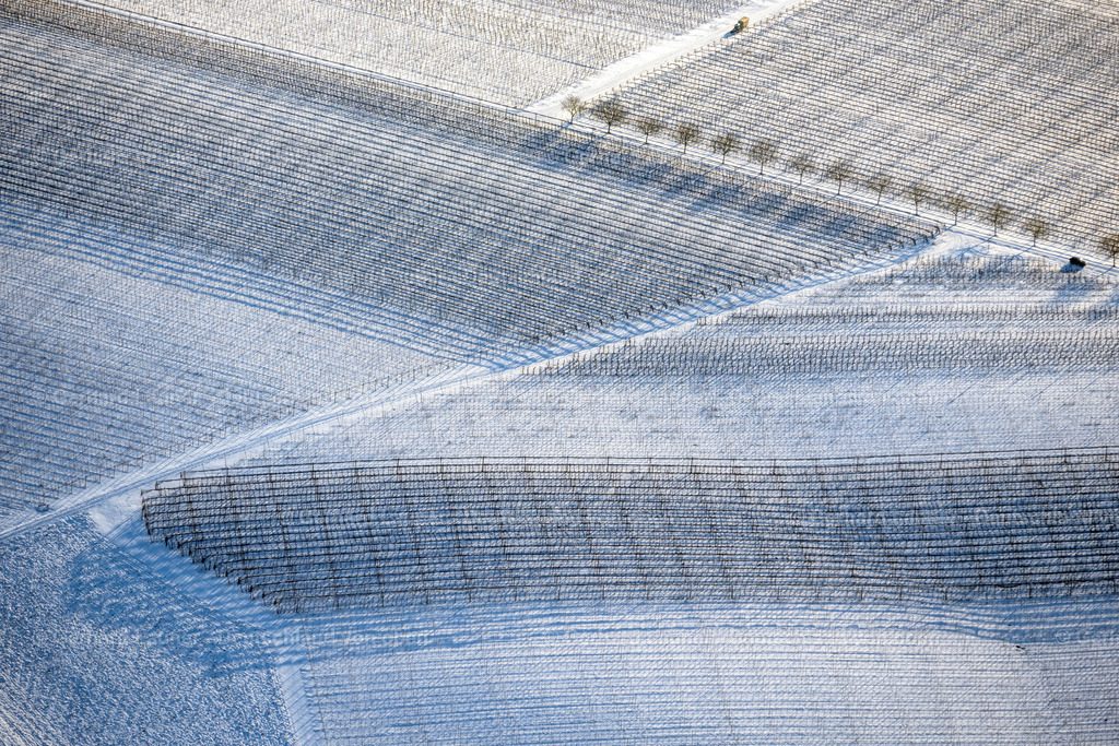 4043081 | winterliche Weinbergs-und Baumstrukturen bei Obermassholderbach