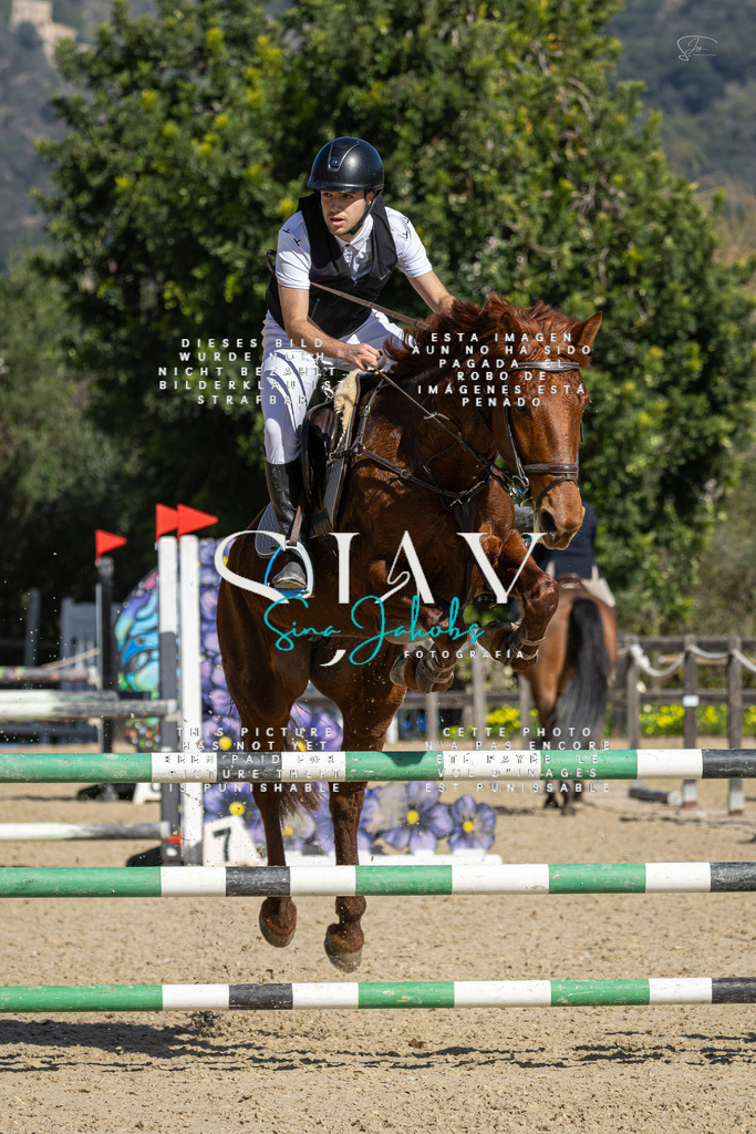 IMG_6482 | s-jay-photography - Realisiert mit Pictrs.com