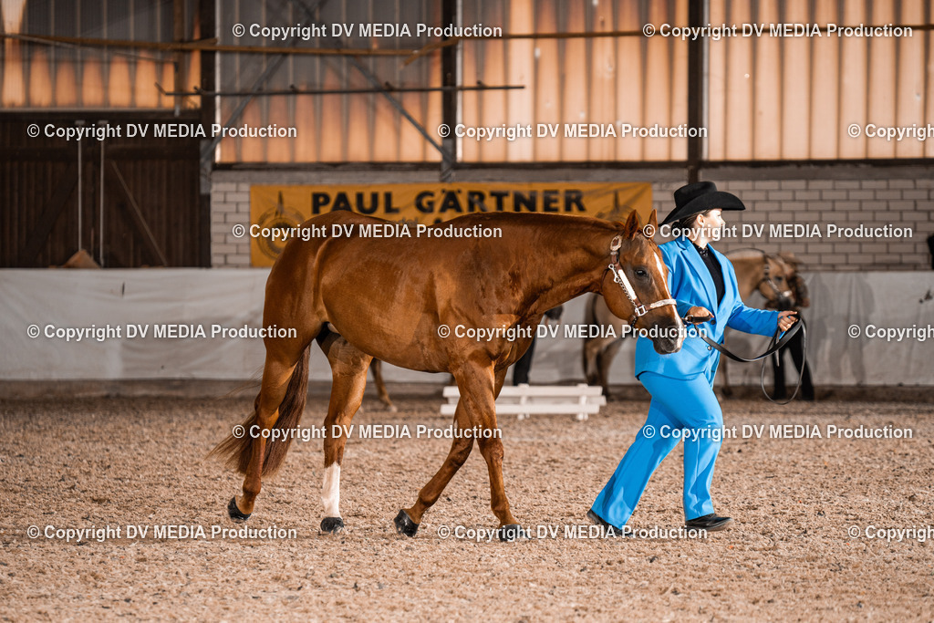 ZH200151 | dv-media-shop - Realisiert mit Pictrs.com