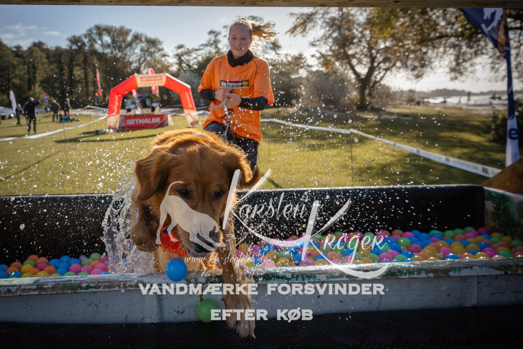 1059_ZZ91374 | kk-dogfotos