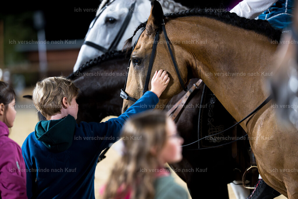 Gala-714 | working equitationturnier fotograf videograf stoibphotography marixx film working equitation deutschland reitsport turnierfotografie eventfotografie equestrian events