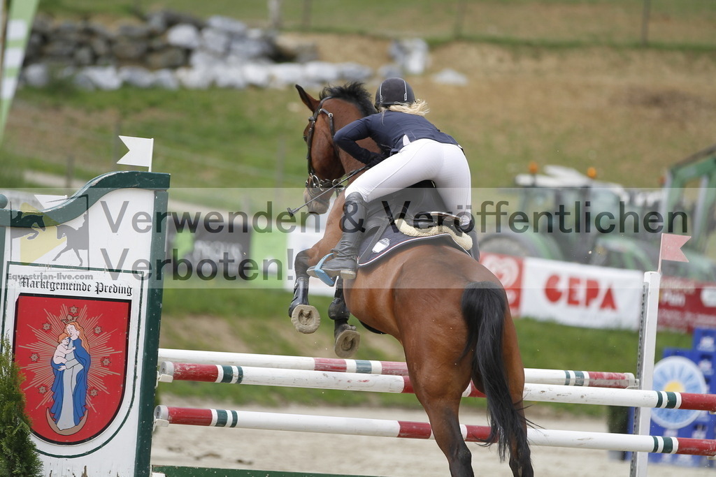 _MG_4126 | equestrian-live-com