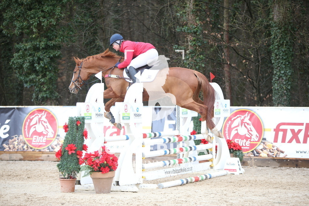 AS8V9945 | Willkommen bei Brunnmayr - Design & Fotografie – Ihrem Spezialisten für Reitturniere und Pferdeveranstaltungen in Oberösterreich, Salzburg und Bayern! Seit über 17 Jahren sind wir leidenschaftlich dabei.