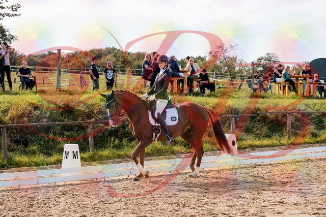 2026_10_03_Siefer-Hof_133000_Z63_91803404 | Professionelle Reitsport-, Turnier- und Eventfotografie von Robert Broda. Galerien mit ausgewählten und bearbeiteten Bildern direkt online ansehen und bestellen.