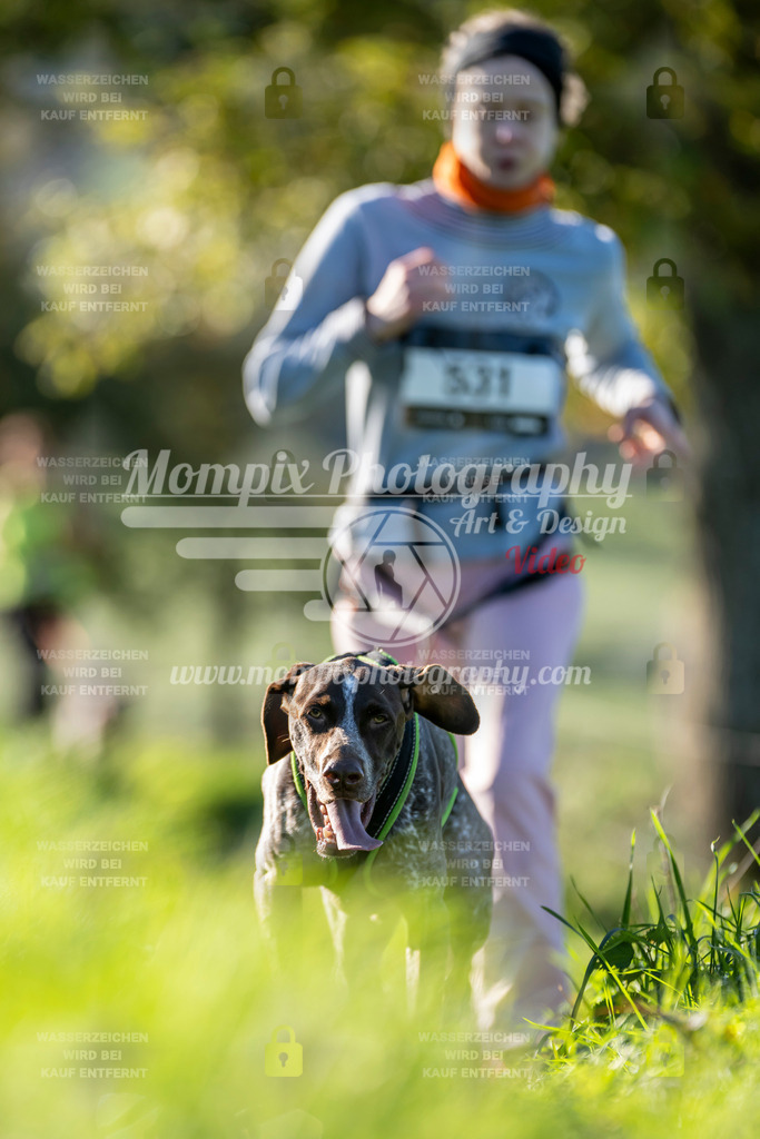 MompixPhotography_20TSB_E3_Run-147 | PayLife