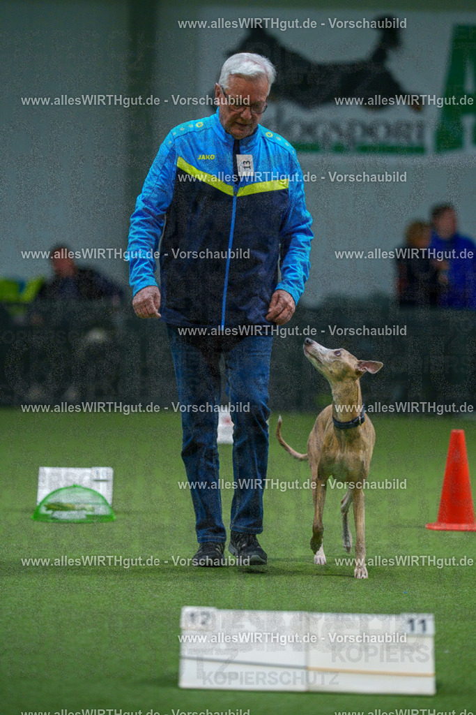 7R500357 | Professionelle Tierfotografie in Mönchengladbach von Daniel Wirth (allesWIRTHgut). Liebevolle & natürliche Bilder von Hunden & Katzen für unvergessliche Erinnerungen.