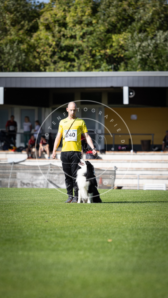 Pfotenfotografie_DV3A4903 | Hundefotografie, Tierfotograf, Pfotenfotografie, Fotoshooting Hund, Hunde Portrait, Hundesport, Hundeportraits, Heideshooting, Hunde, Sportfotograf, Hundefotograf, Turnierhundsport, THS,  - Realisiert mit Pictrs.com