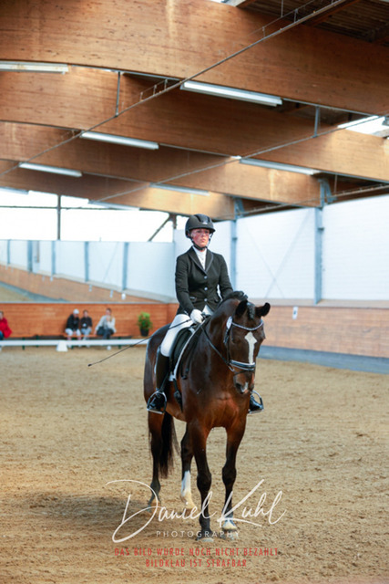 _62_6802 | Turniersportfotografie; Pferdefotografie; Dressurfotografie