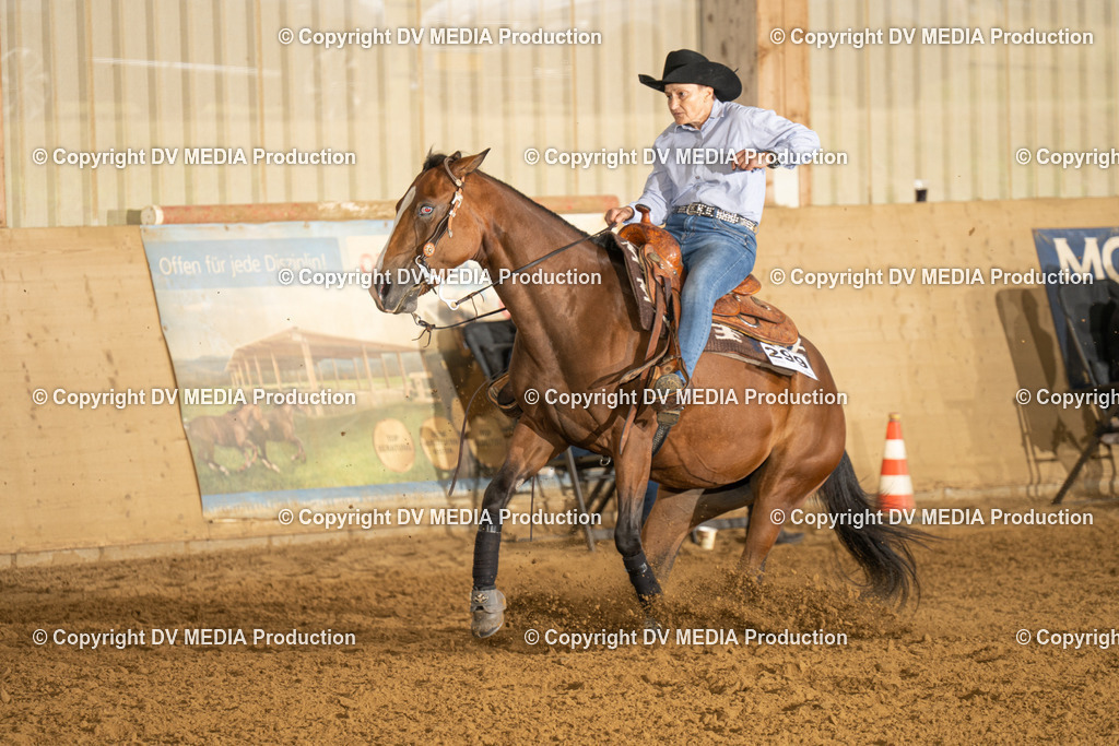 LAU00736 | dv-media-shop - Realisiert mit Pictrs.com