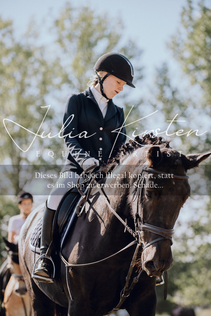 DSC_7241 | Pferde- und Turnierfotografie in Westsachsen. Pferdeportraits, Auftragszeichnungen und intuitive Kunst.