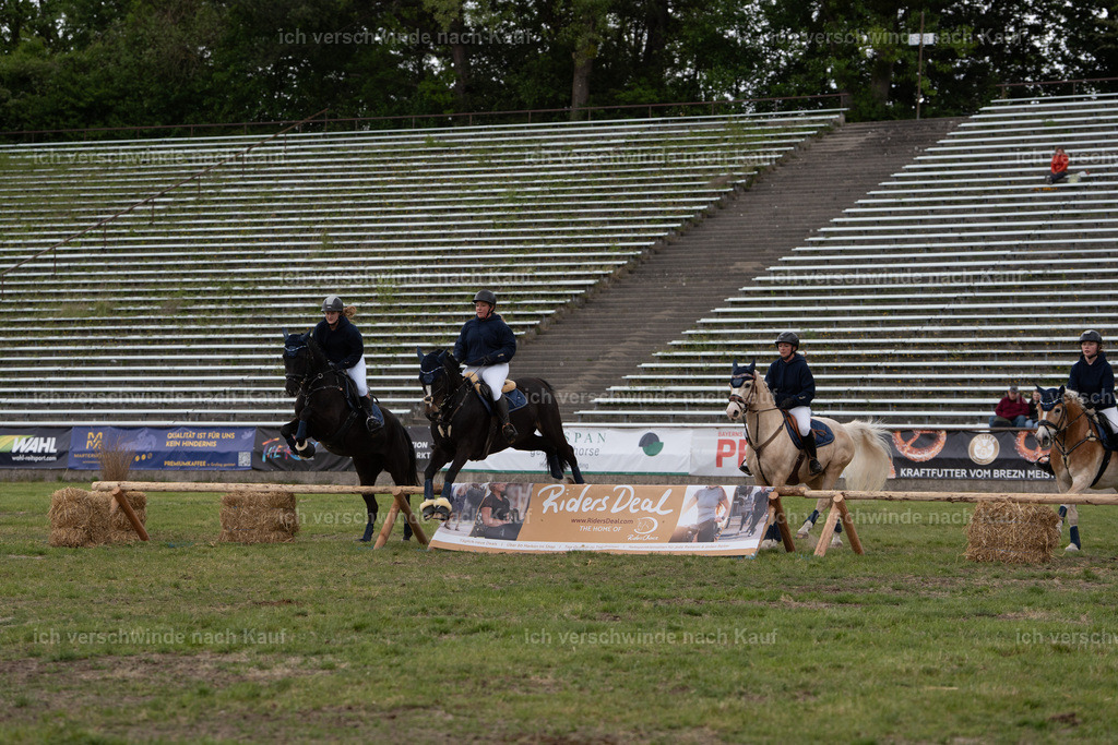 PI26_show_Jan_Picutures7C_07134.jpg | working equitationturnier fotograf videograf stoibphotography marixx film working equitation deutschland reitsport turnierfotografie eventfotografie equestrian events
