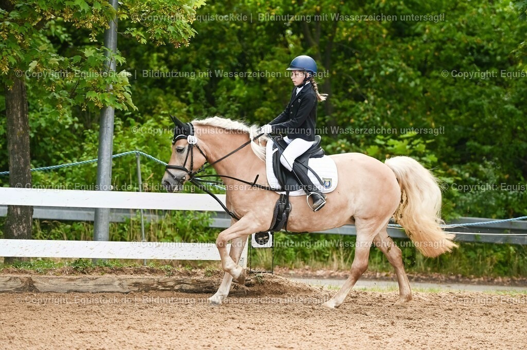 20230716_10-2_Reiter-WB Schritt - Trab - Galopp_0051 | equistock
