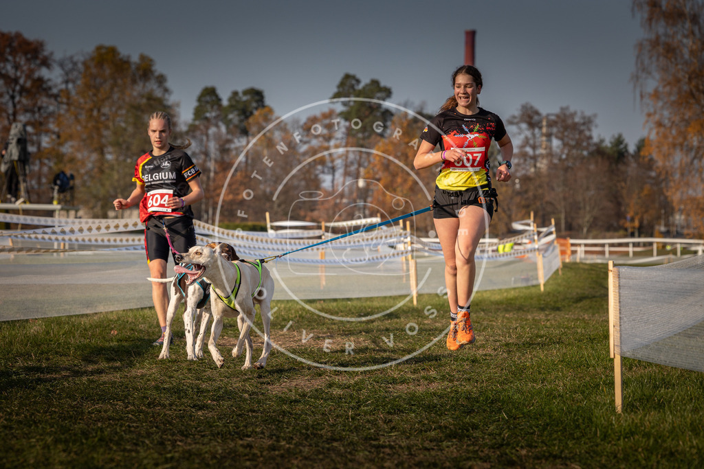 CaniXpix_0L8A0100 | Hundefotografie, Tierfotograf, Pfotenfotografie, Fotoshooting Hund, Hunde Portrait, Hundesport, Hundeportraits, Heideshooting, Hunde, Sportfotograf, Hundefotograf, Turnierhundsport, THS,  - Realisiert mit Pictrs.com