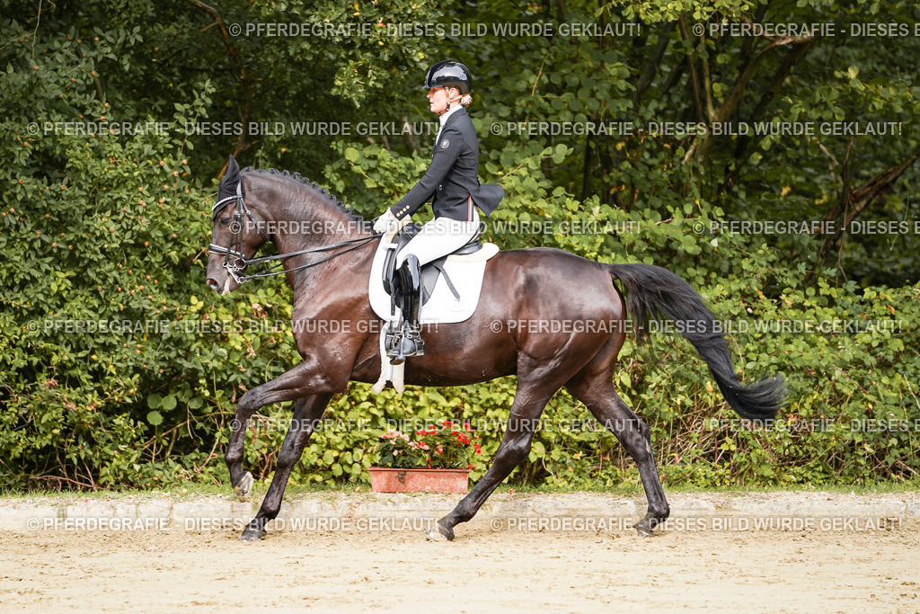 DSC02266 | Pferdegrafie