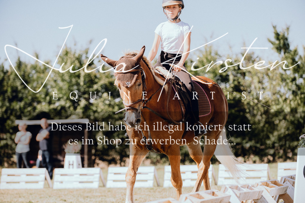 DSC_7302 | Pferde- und Turnierfotografie in Westsachsen. Pferdeportraits, Auftragszeichnungen und intuitive Kunst.