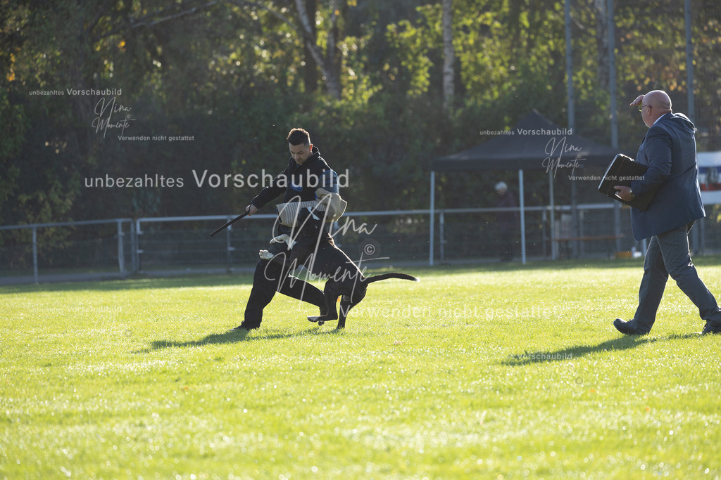 _16A6302 | Einzigartige Fotos von Hunden & Menschen –Actionfotos, Portraits, Vereinsaufnahmen & Paarshootings – authentisch, lebendig & mit Herz.