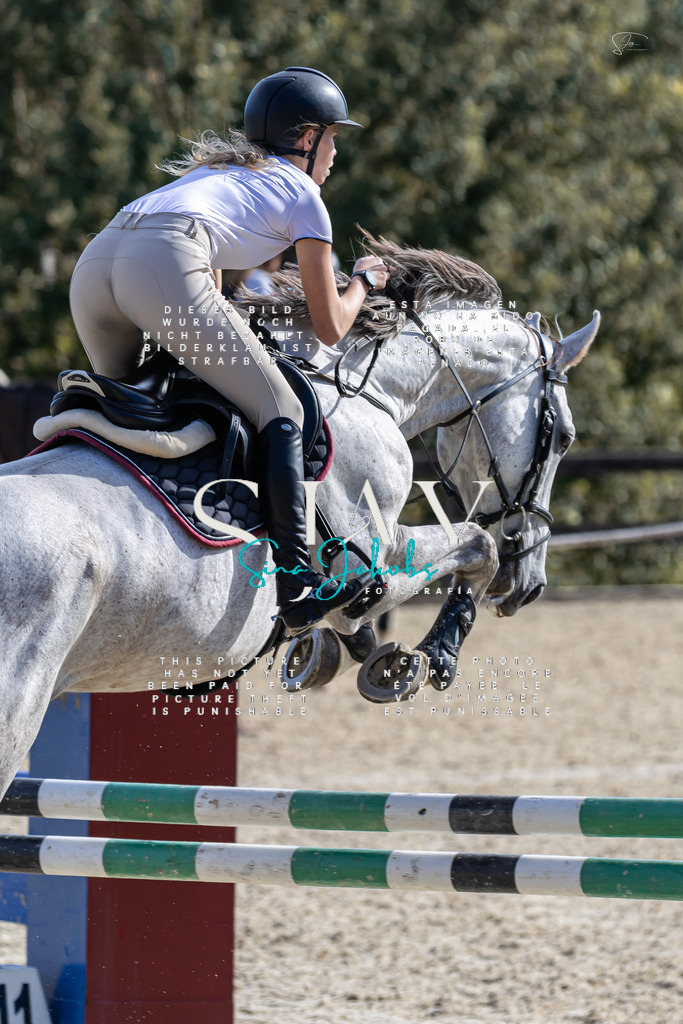 IMG_0619 | s-jay-photography - Realisiert mit Pictrs.com